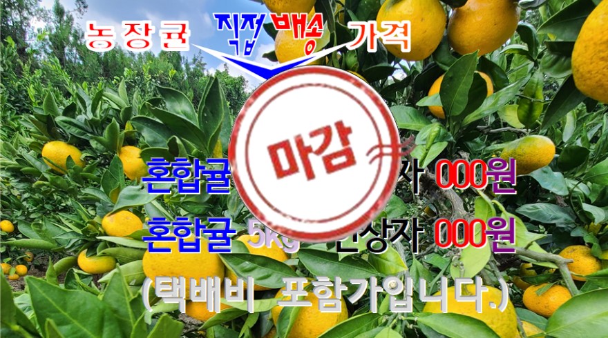 귤판매