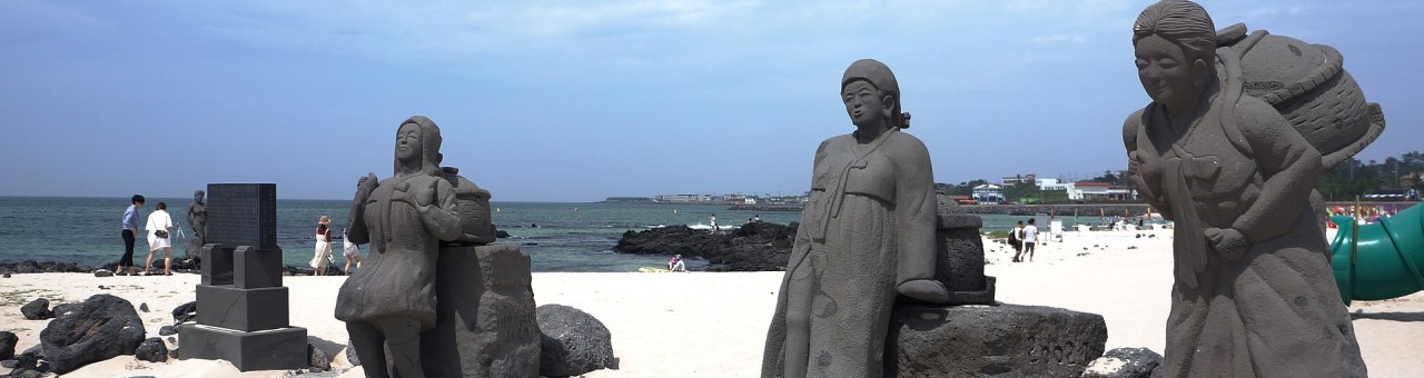 제주소식게시판